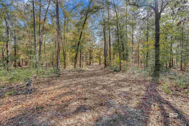 8190 Dixon Rd, Bay Minette, AL 36507