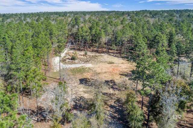 8190 Dixon Rd, Bay Minette, AL 36507