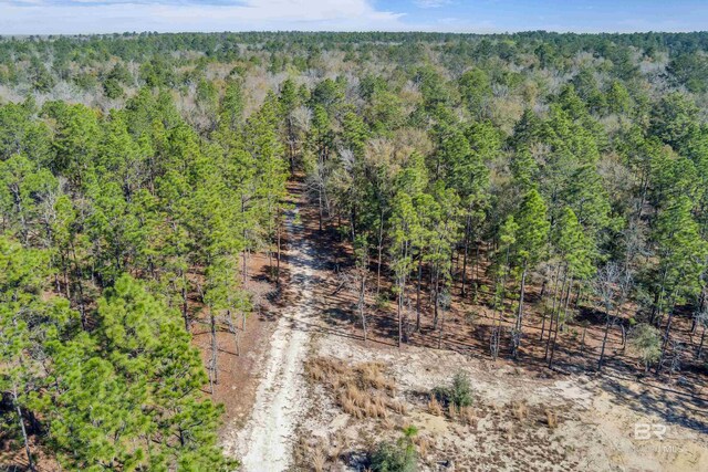 8190 Dixon Rd, Bay Minette, AL 36507