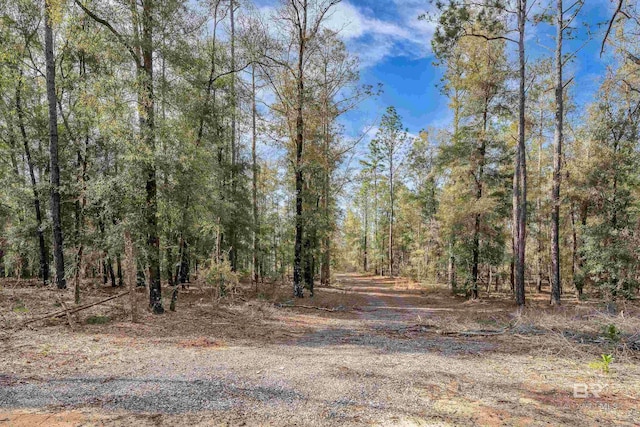 8190 Dixon Rd, Bay Minette, AL 36507