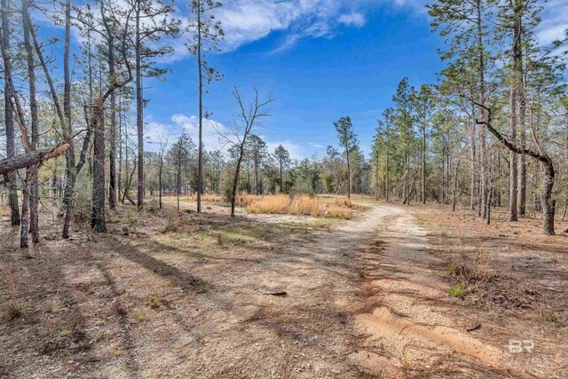 8190 Dixon Rd, Bay Minette, AL 36507
