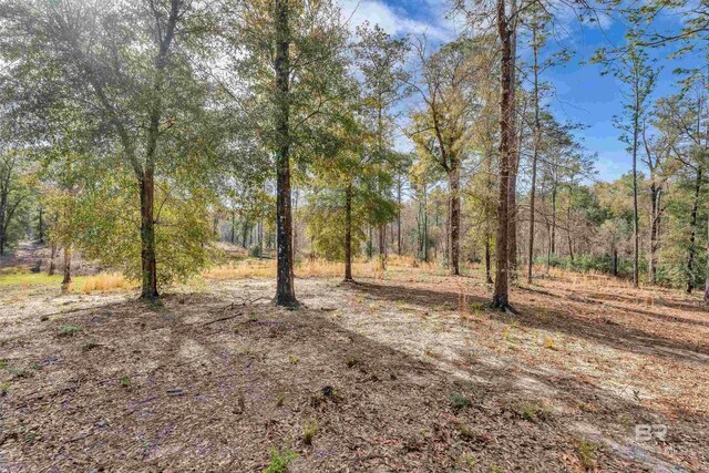 8190 Dixon Rd, Bay Minette, AL 36507
