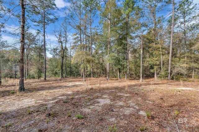 8190 Dixon Rd, Bay Minette, AL 36507