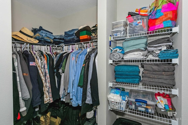 view of spacious closet