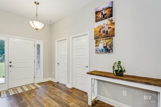 foyer entrance featuring dark wood-type flooring