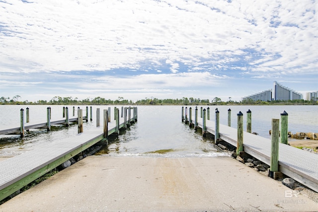 dock area with a water view