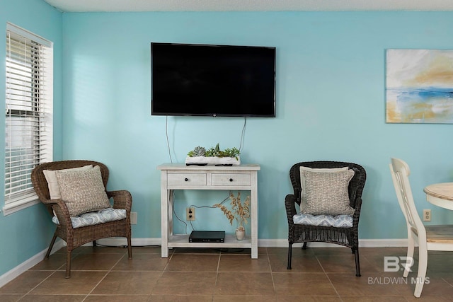 living area featuring dark tile patterned flooring