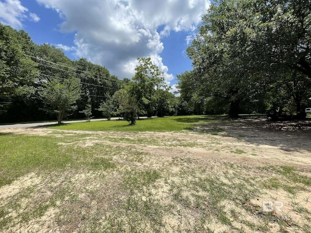 25850 Patterson Rd, Robertsdale, AL 36567 - view of yard