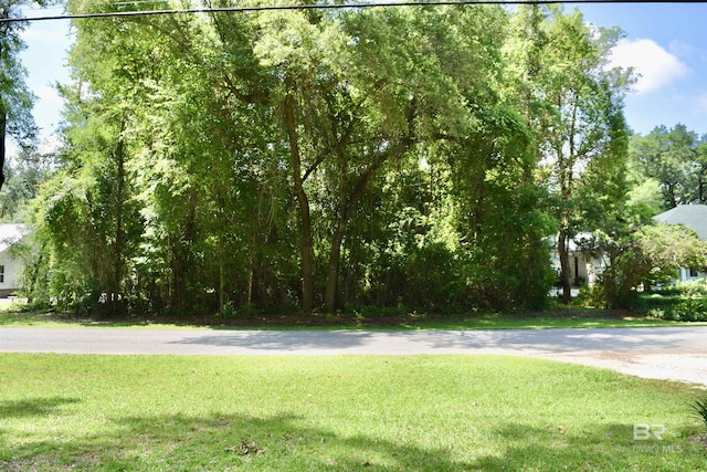 14134 Woodland Dr, Magnolia Springs, AL 36555