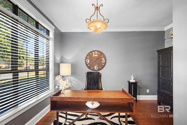 office featuring dark hardwood / wood-style flooring, crown molding, and a wealth of natural light