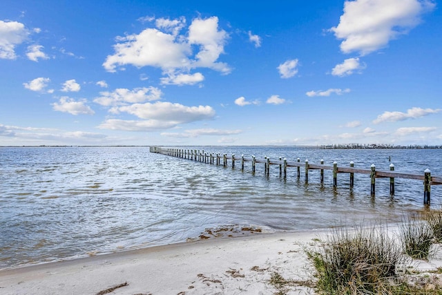 dock area with a water view