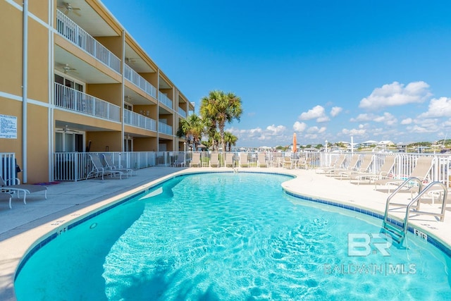 view of pool with a patio area