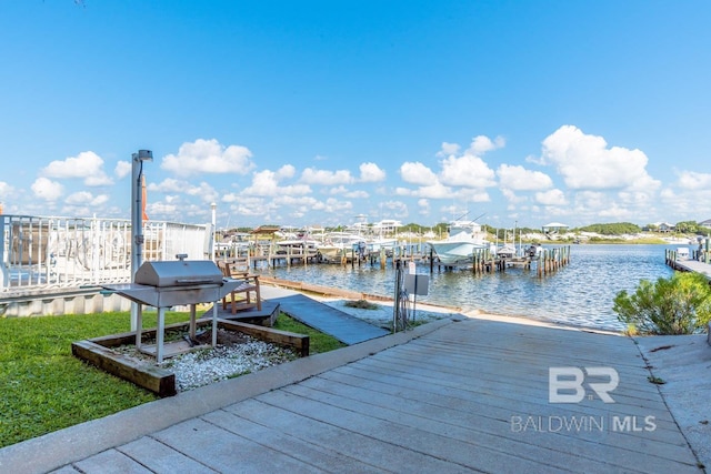 dock area with a water view