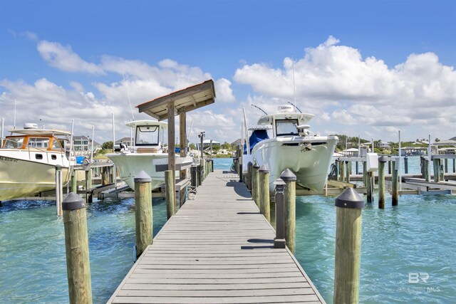 dock area with a water view