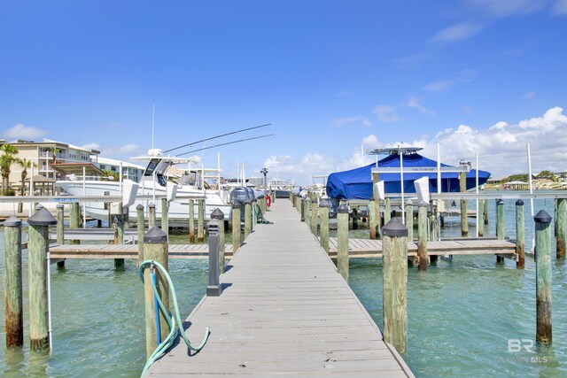 dock area featuring a water view