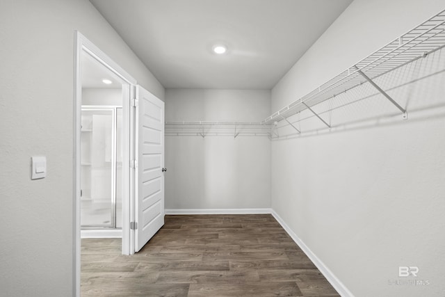 walk in closet with hardwood / wood-style floors