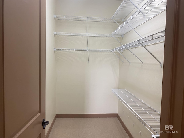 spacious closet with light carpet