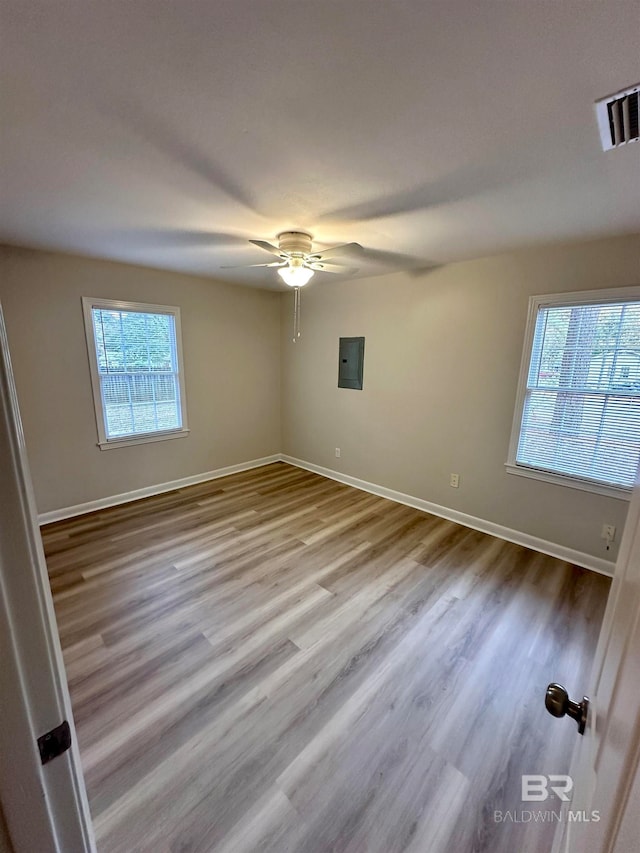 spare room featuring light wood-type flooring, electric panel, ceiling fan, and a healthy amount of sunlight