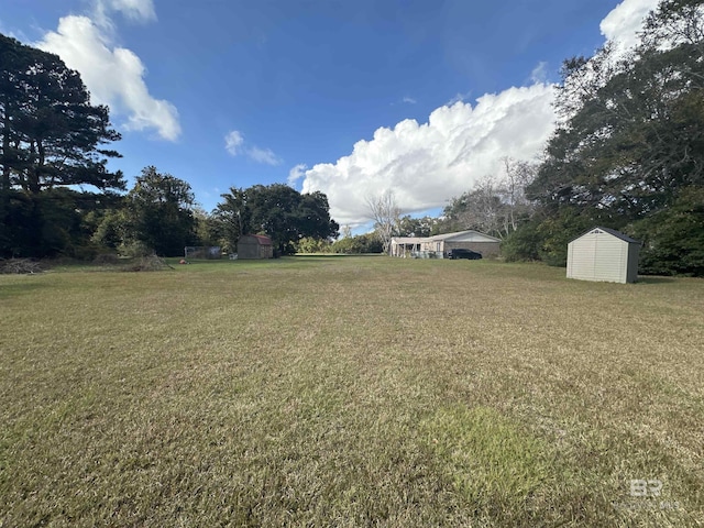 view of yard featuring a storage shed