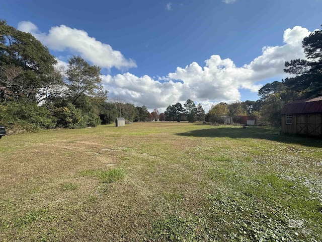 view of yard featuring a storage shed