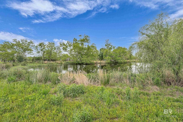 property view of water