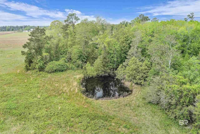 view of nature with a wooded view