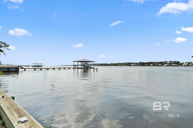 water view with a dock