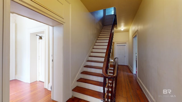 staircase with wood-type flooring