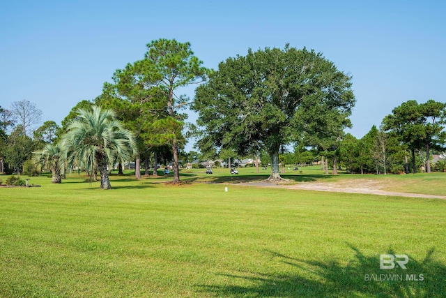 view of community with a yard