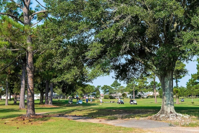 view of community with a yard