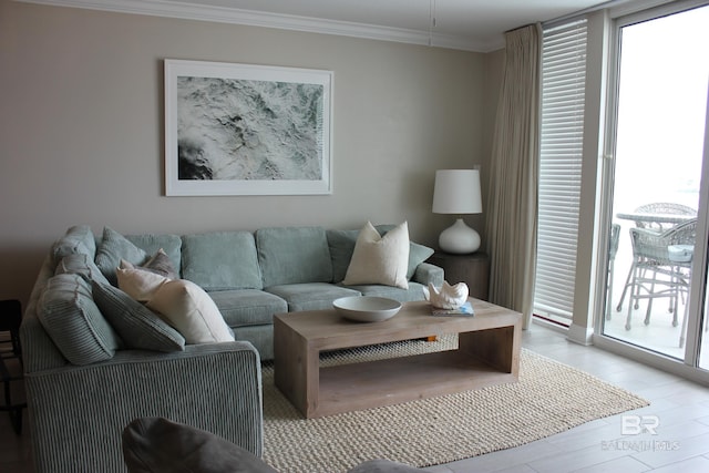 living room with hardwood / wood-style floors and crown molding