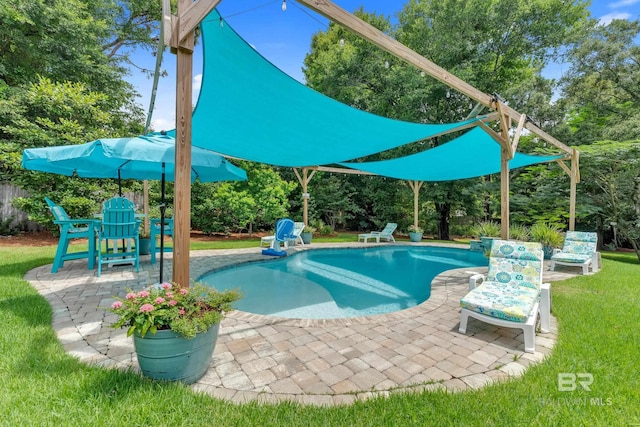 30857 Cypress St, Perdido Beach, AL 36530 - outdoor pool with a patio and a lawn