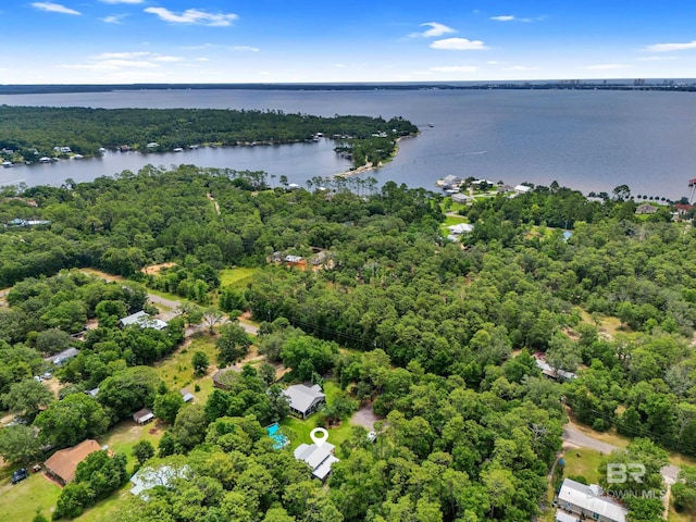 30857 Cypress St, Perdido Beach, AL 36530 - bird's eye view of a large body of water