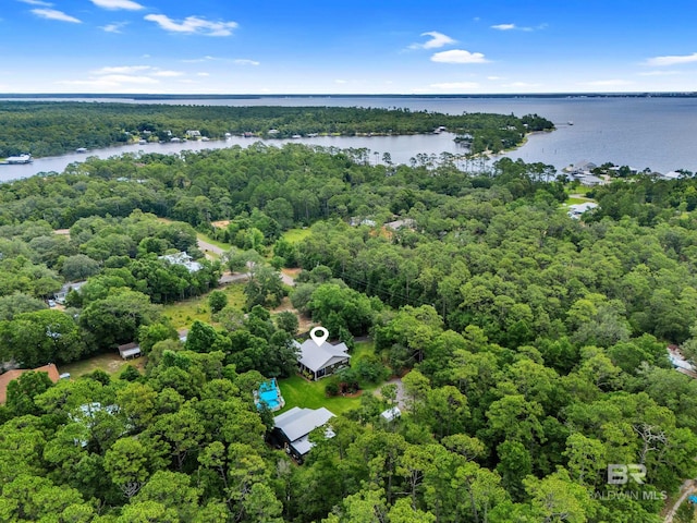 30857 Cypress St, Perdido Beach, AL 36530 - bird's eye view of a forest and a nearby body of water