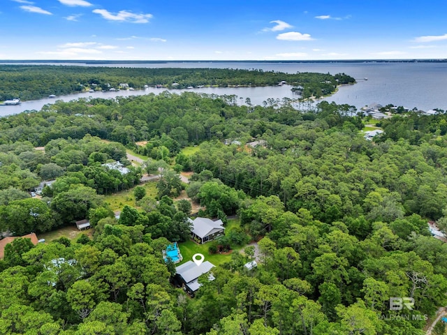 30857 Cypress St, Perdido Beach, AL 36530 - aerial view of a heavily wooded area and a large body of water