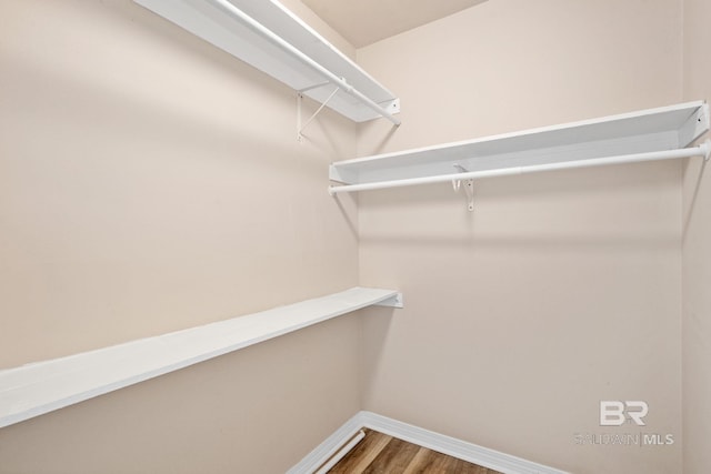 10966 Brighton Dr, Chunchula, AL 36521 - spacious closet with wood finished floors