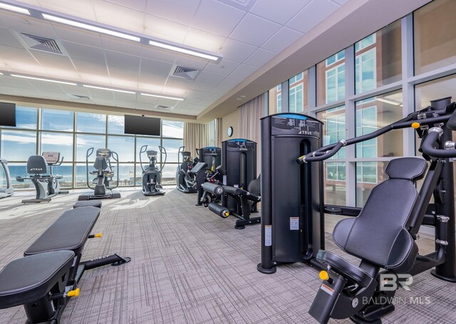 gym featuring carpet floors, visible vents, and expansive windows