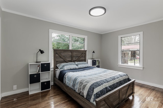 bedroom featuring dark wood-type flooring, crown molding, and multiple windows