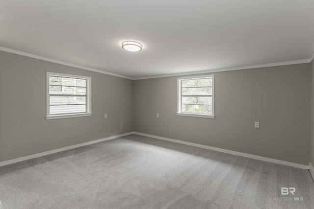 spare room featuring ornamental molding and carpet