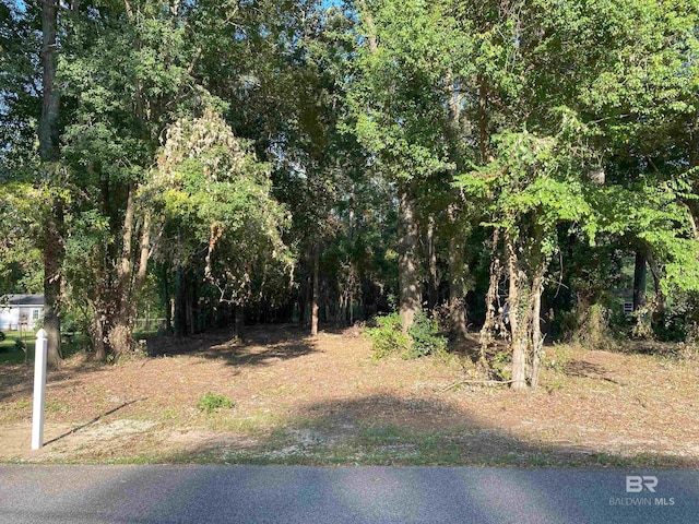 0 Circle Dr, Robertsdale, AL 36567