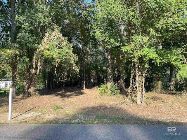 0 Circle Dr, Robertsdale AL, 36567 land for sale