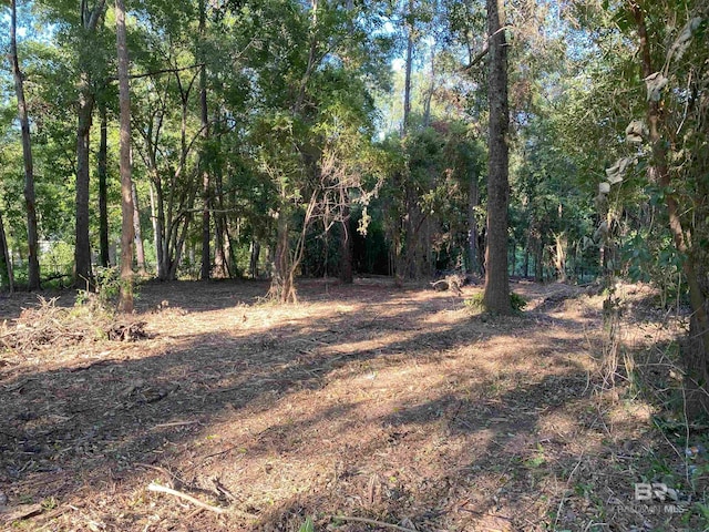 0 Circle Dr, Robertsdale, AL 36567
