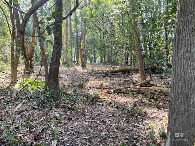 0 Circle Dr, Robertsdale, AL 36567
