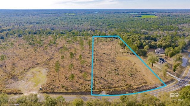 0 W Johnson Rd, Mobile AL, 36695 land for sale