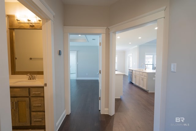 hallway featuring sink, dark wood-type flooring, and ornamental molding