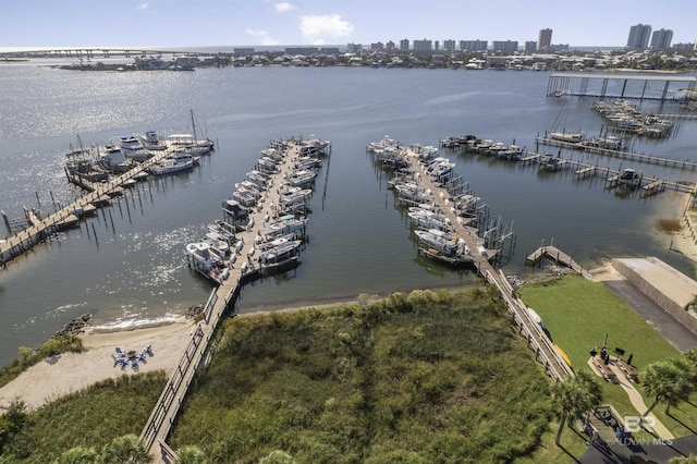 drone / aerial view with a water view