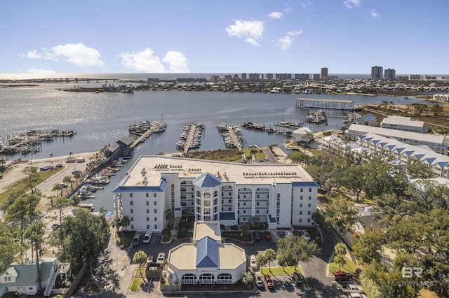 bird's eye view with a water view