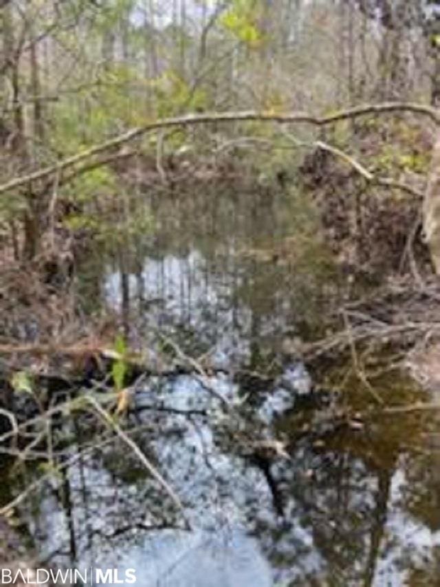 Listing photo 3 for 0 County Road 38, Summerdale AL 36580