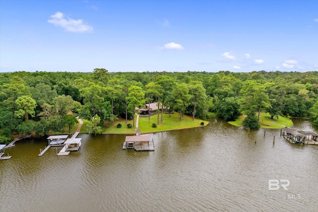 bird's eye view with a water view