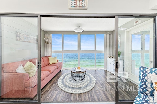 living room featuring dark hardwood / wood-style flooring and a water view